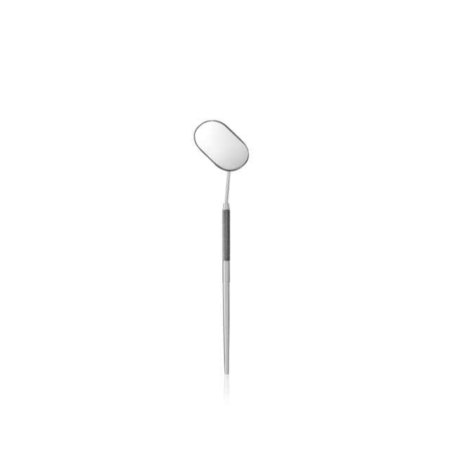 Lash Mirror